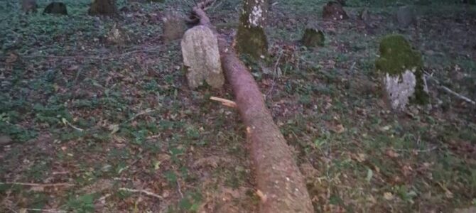 Pathetic State of Jewish Cemetery in Panevėžys